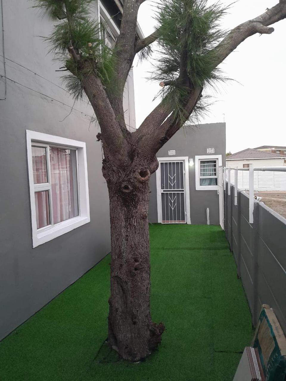 Brooklyn Queens And Kings Guesthouse Ciudad del Cabo Exterior foto